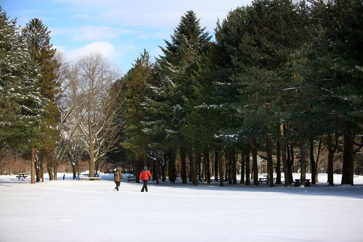 two people walking in a snow covered park with trees