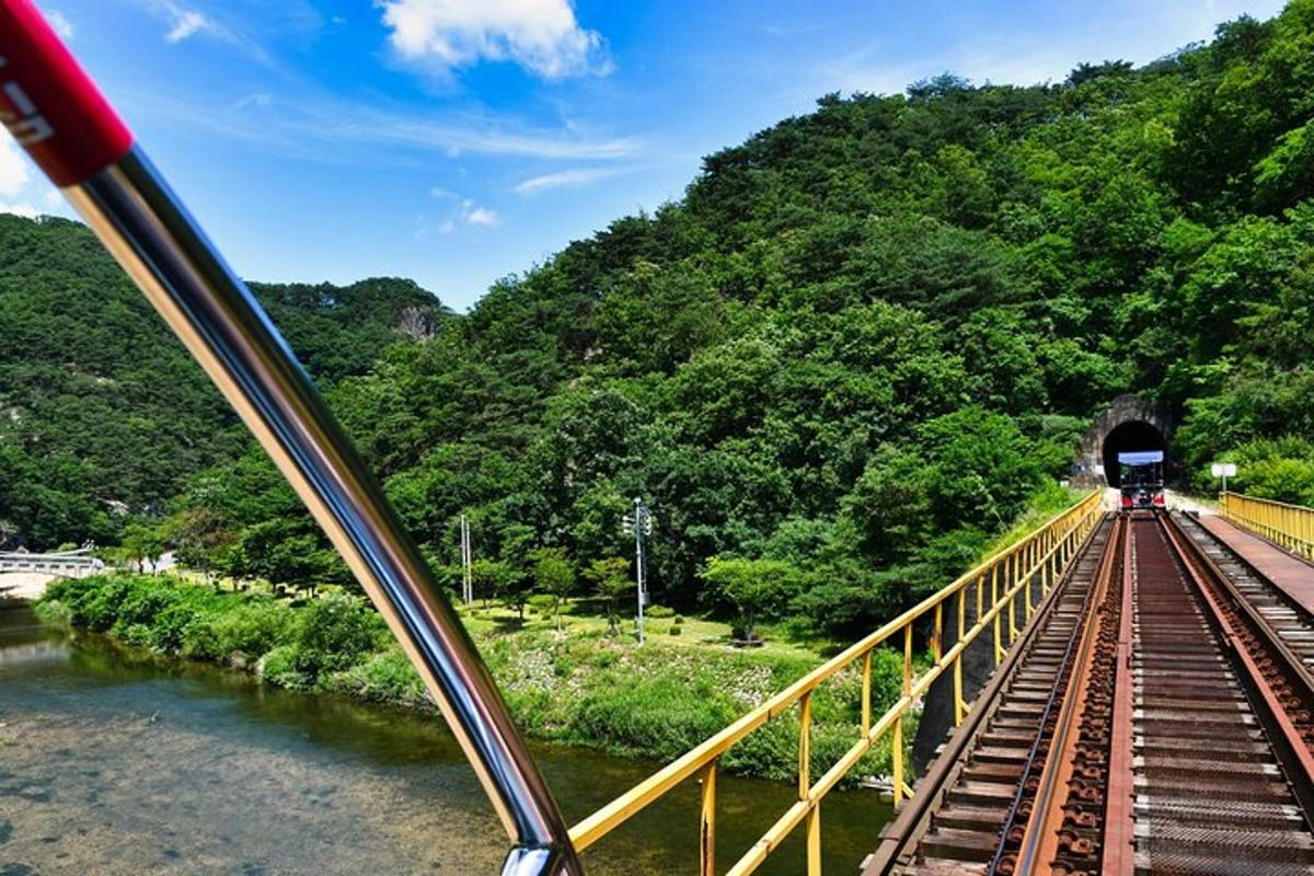 a train coming out of a tunnel on a bridge