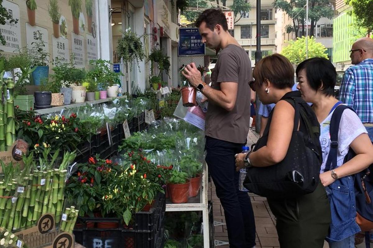 skupina lidí prohlížejících si rostliny v obchodě