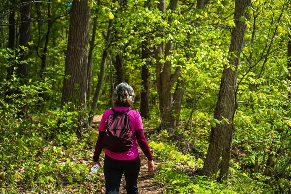 uma mulher caminhando em uma trilha na floresta