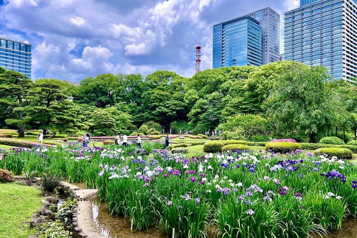 un giardino con fiori in un parco con edifici