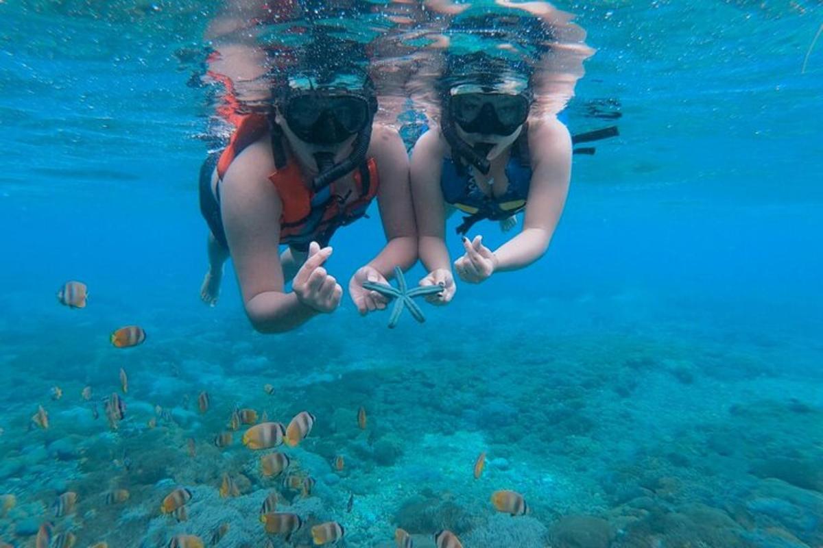dos personas nadando en el agua con peces