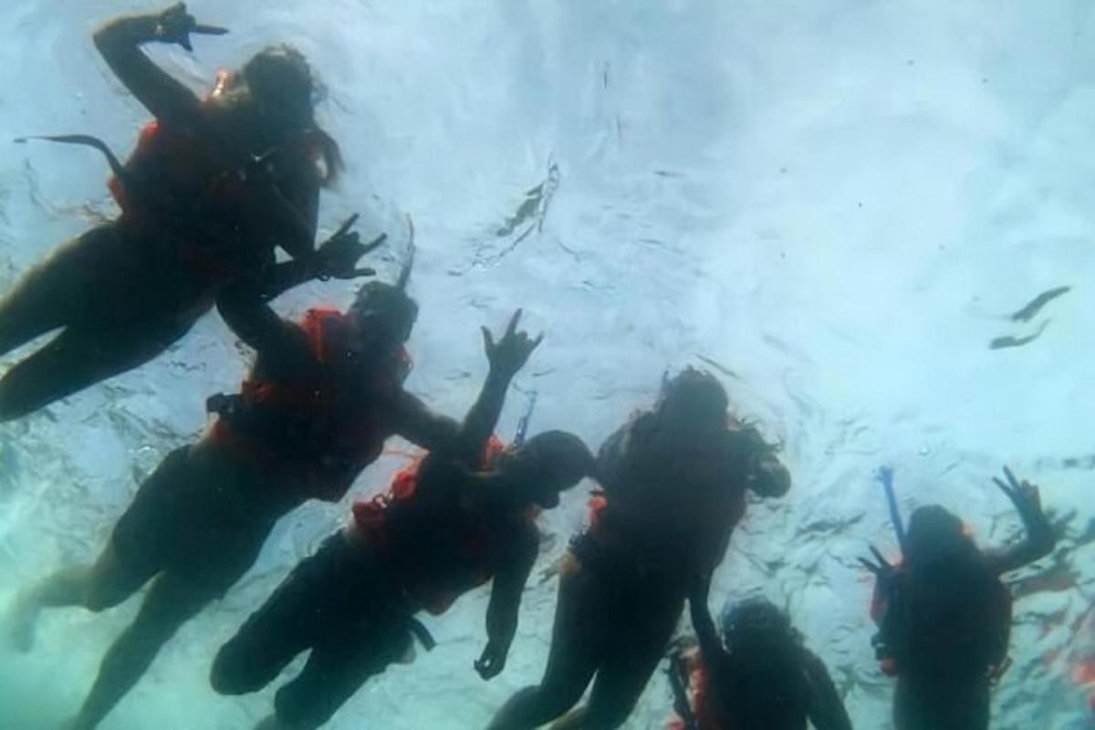 un grup de persones nedant a l'aigua