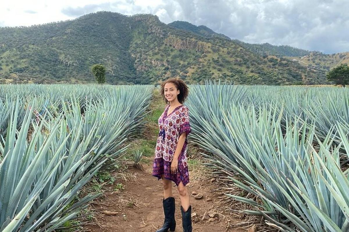 a woman standing in front of a field of agaves