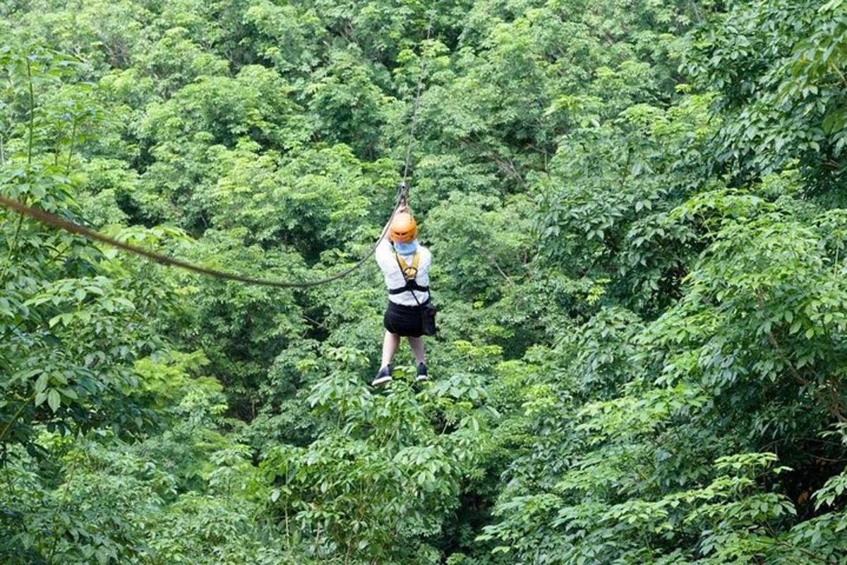 a person on a zip line through the trees