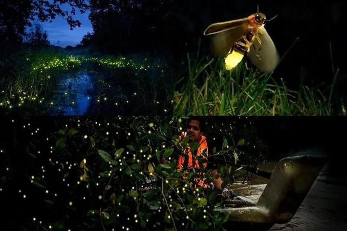 a man sitting in a chair next to a pond