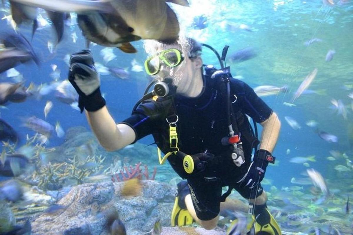 a man with a camera in an aquarium