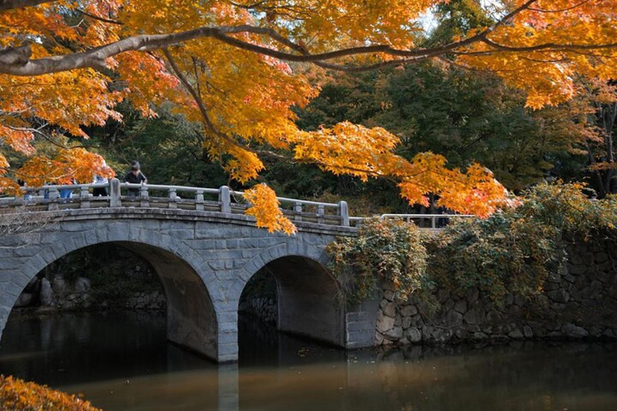un ponte sopra un fiume con una persona sopra
