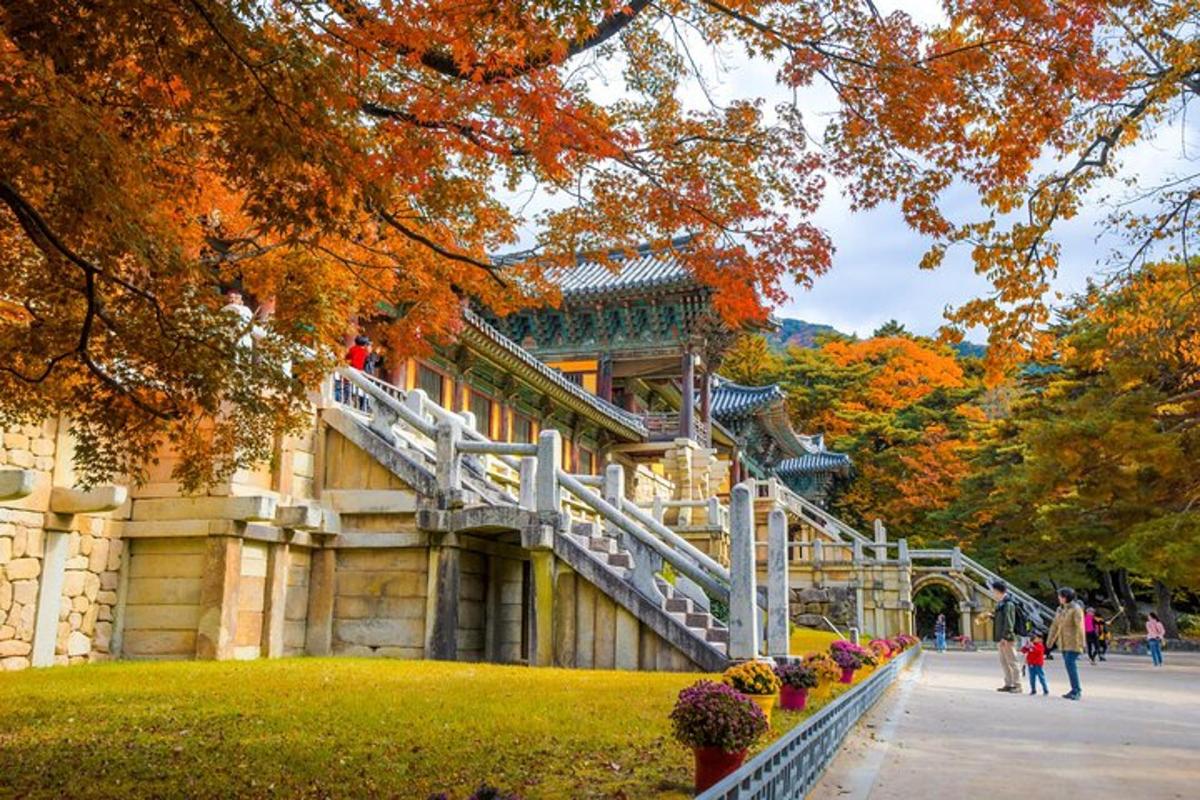 un edificio con una scala in un parco