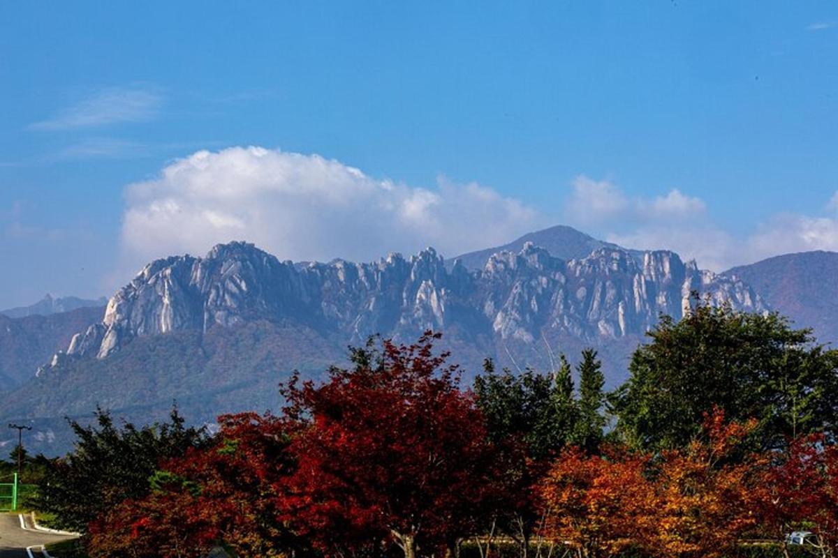 pemandangan banjaran gunung dengan pokok dan jalan
