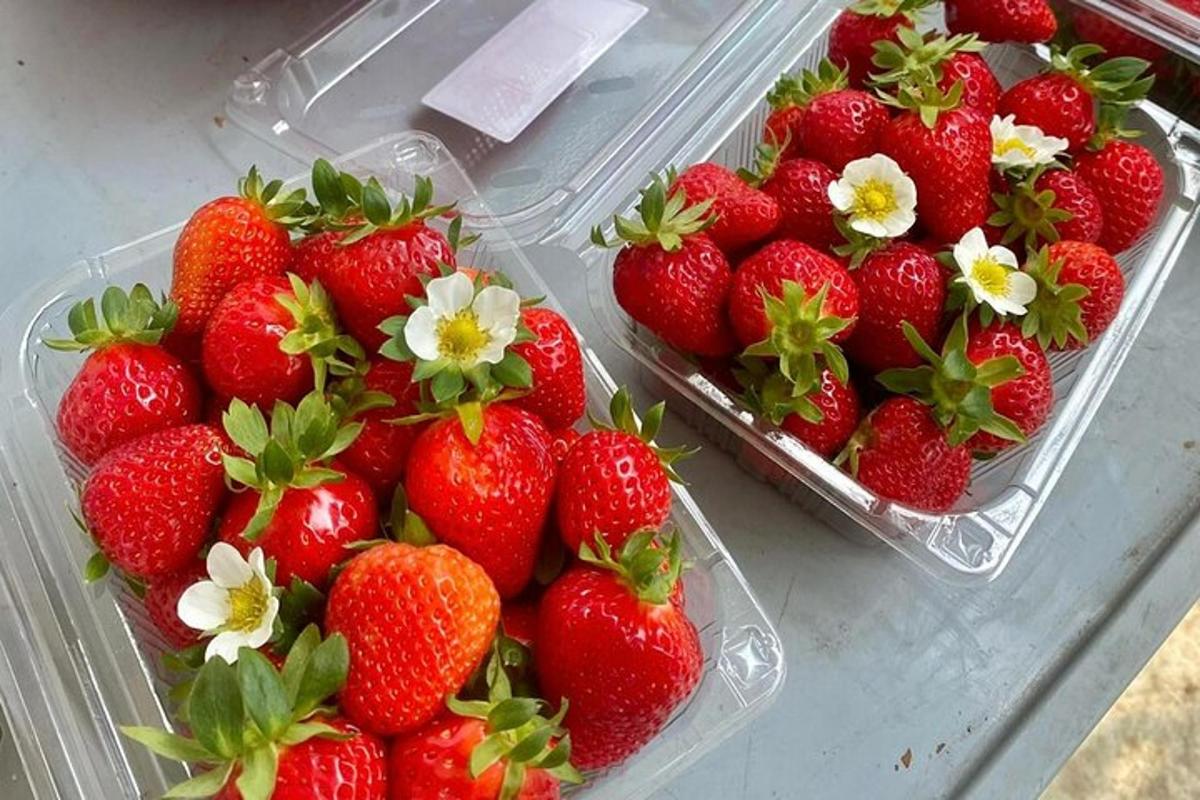 Dos recipientes de plástico llenos de fresas sobre una mesa.