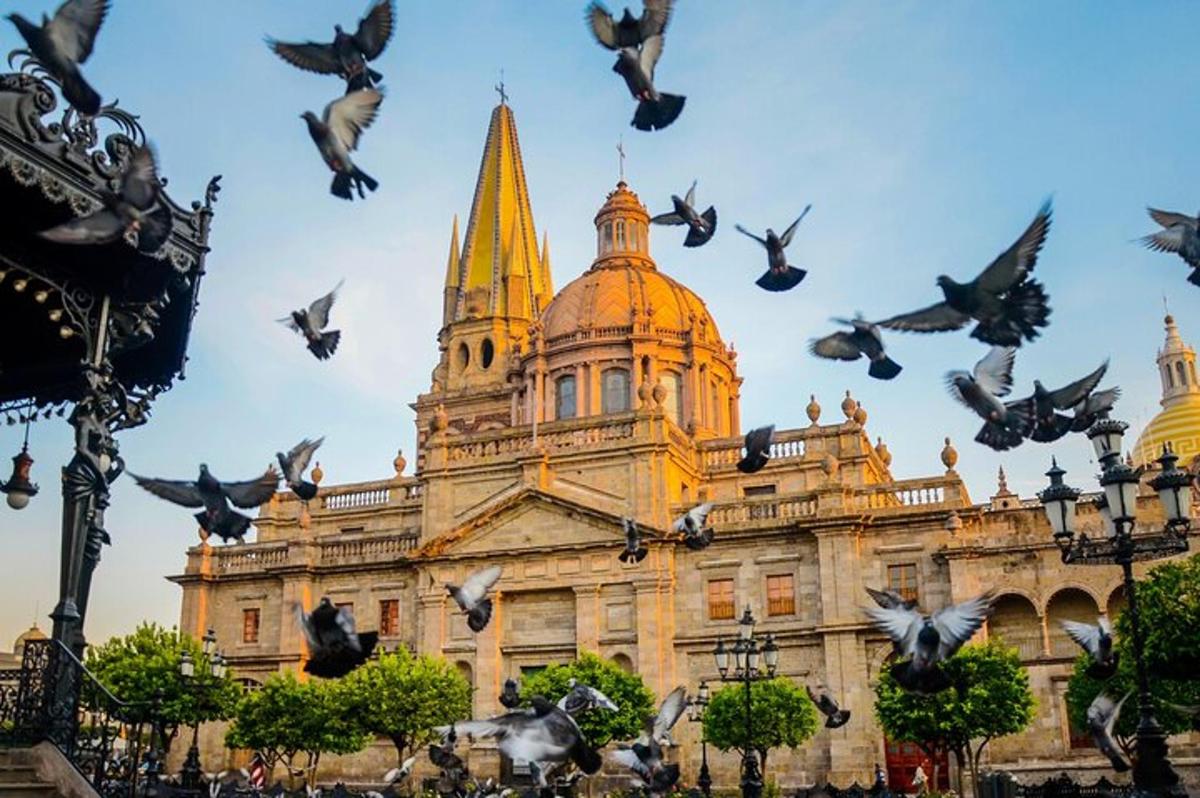 sekawan burung terbang di hadapan sebuah bangunan