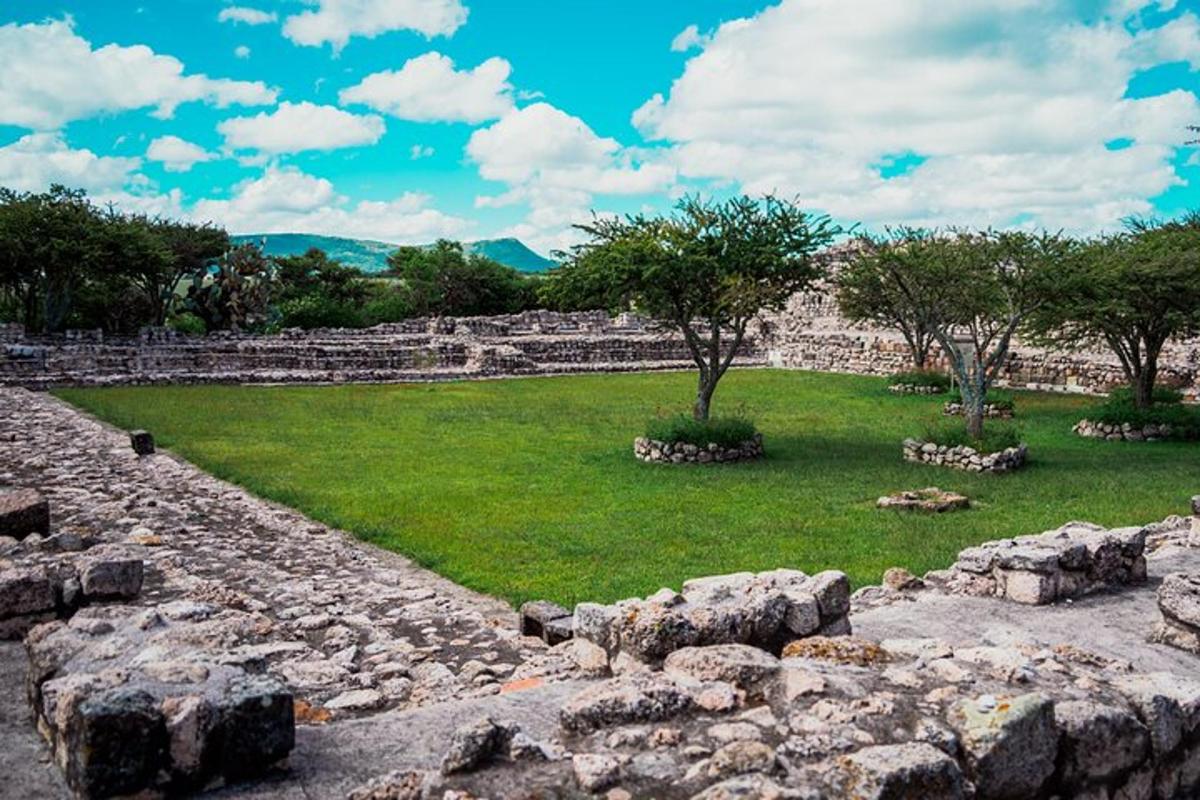 um muro de pedra com árvores e um campo de grama