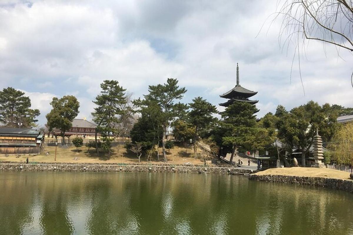 un estany amb una pagoda davant d'un edifici