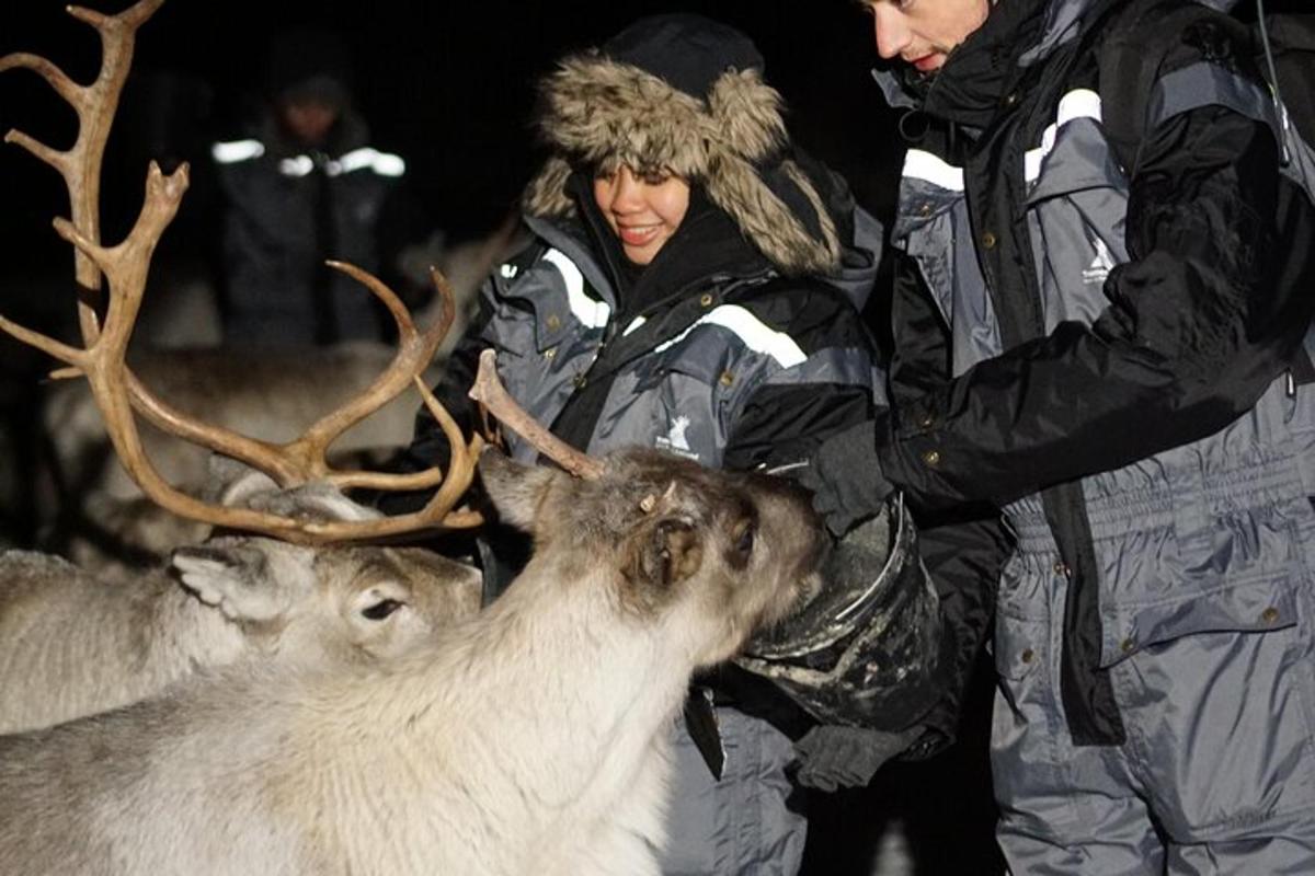 two people are looking at a reindeer