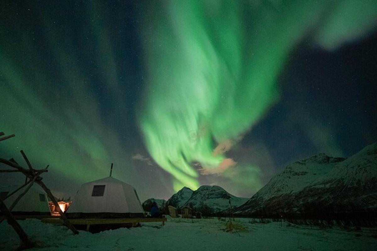 a tent and the aurora in the sky over a field