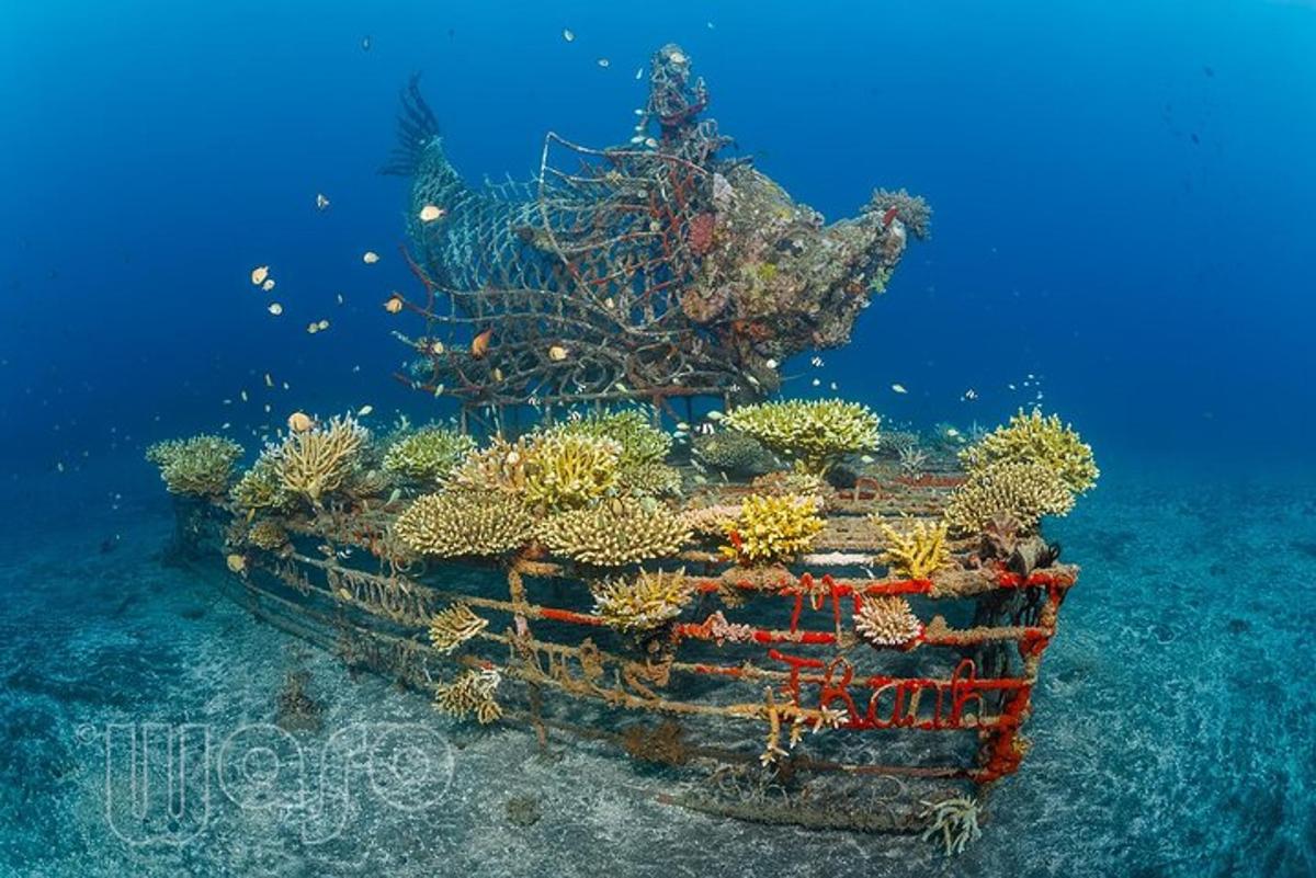 an underwater picture of a coral reef