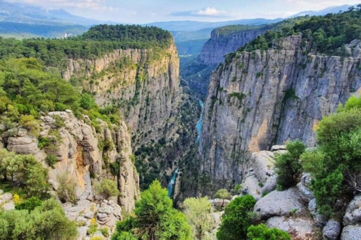 Una vista de un cañón con un río en él.