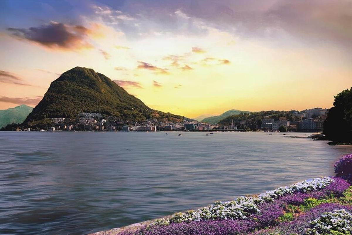 a view of a beach and a mountain with purple flowers