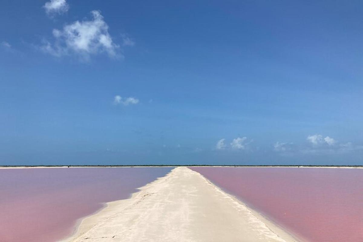 a view of a pink salt lake with a blue sky