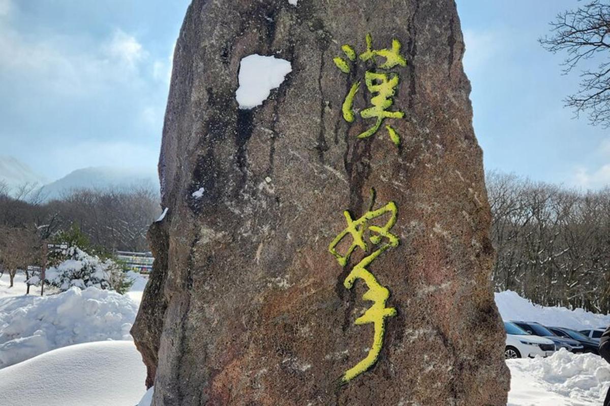 a tree with chinese writing on the side of it