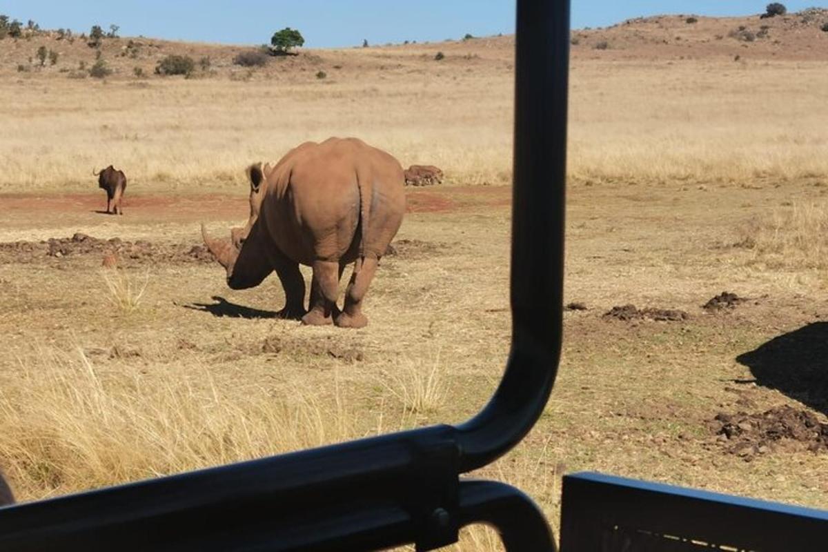 um elefante caminhando em um campo com outro elefante à distância
