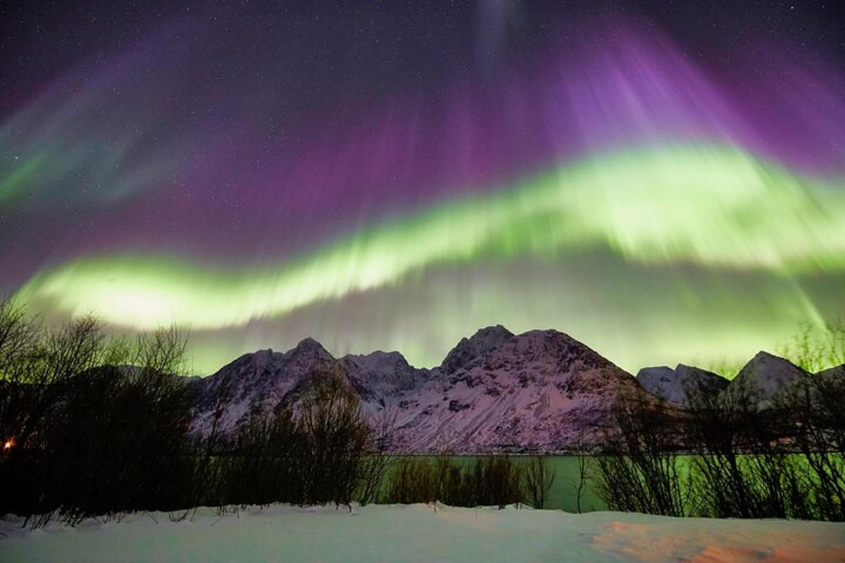 aurora na nebu nad zasneženo goro