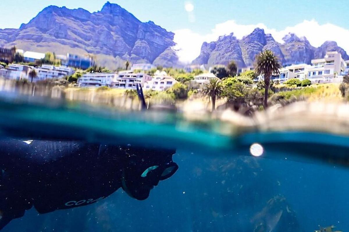 Una vista del agua con montañas al fondo.