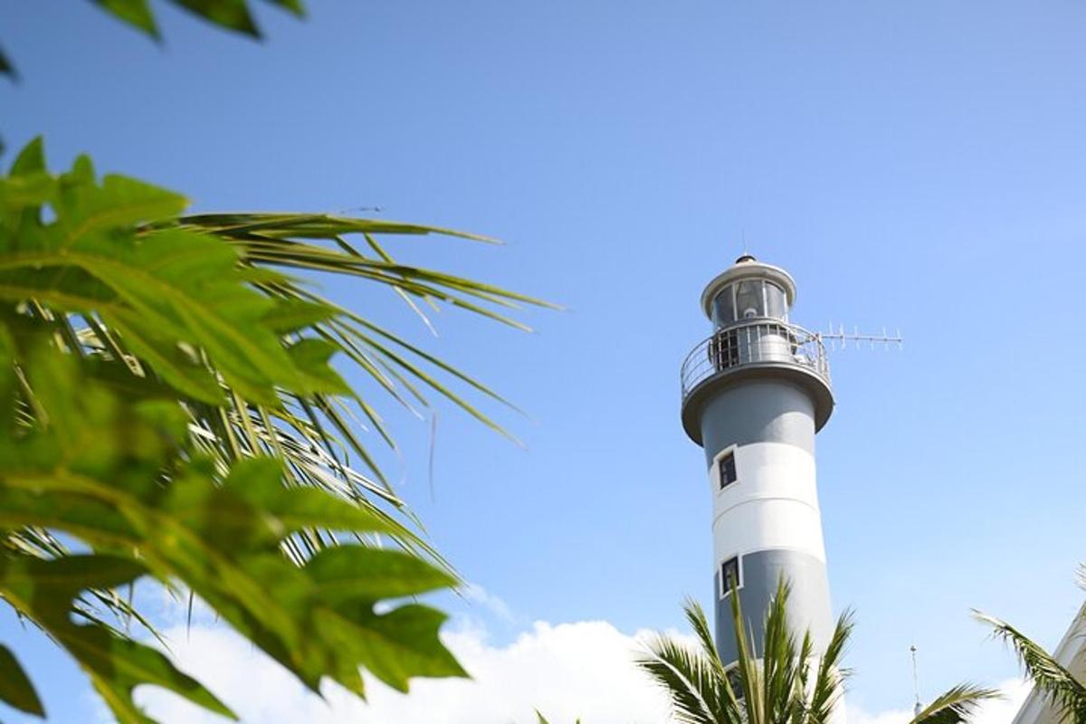 un faro con una palma in primo piano