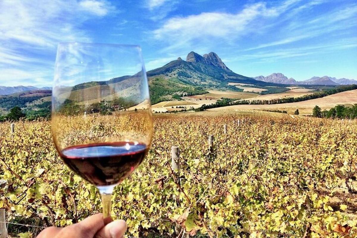 uma pessoa segurando uma taça de vinho em um campo