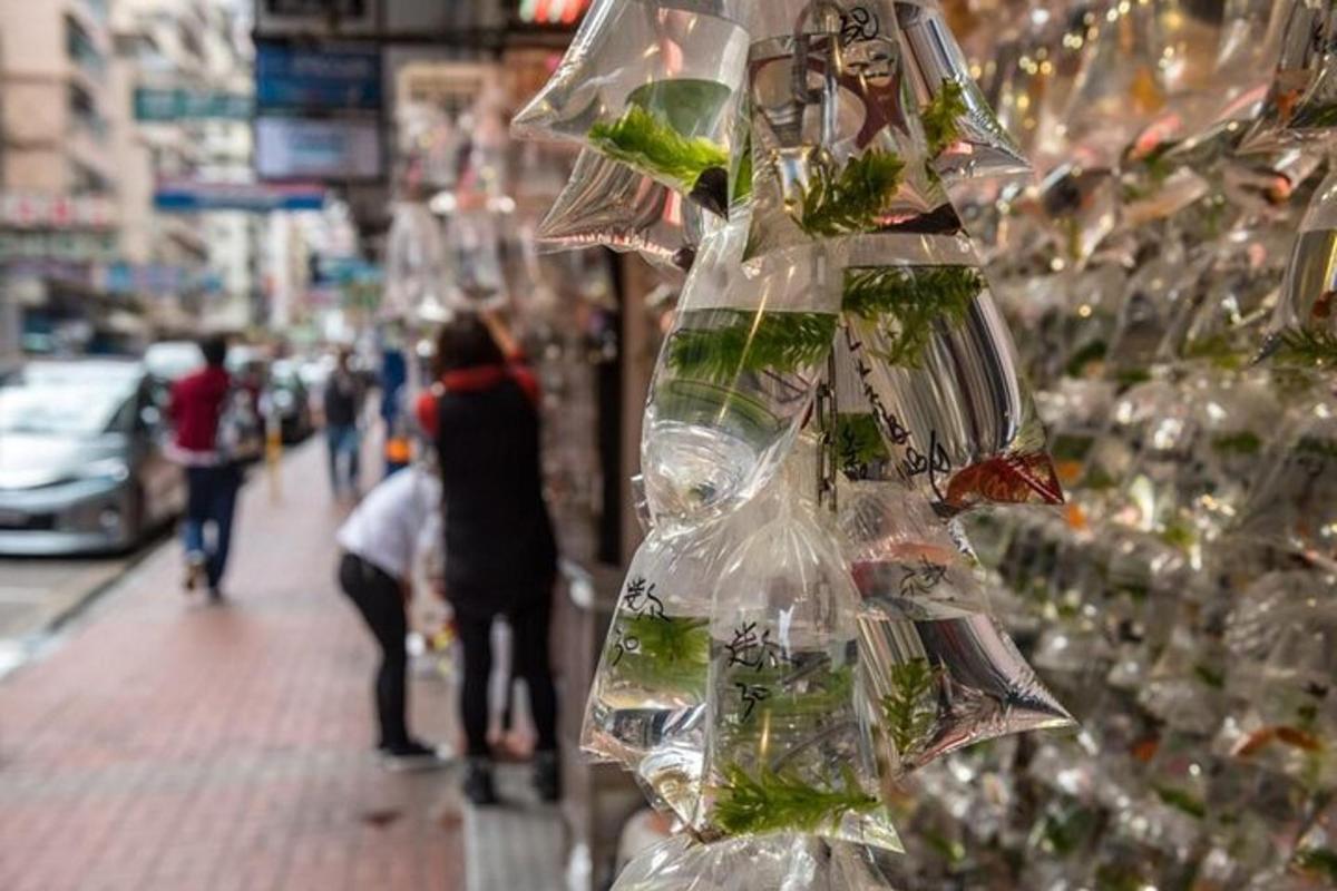 a display of food in plastic bags on a street