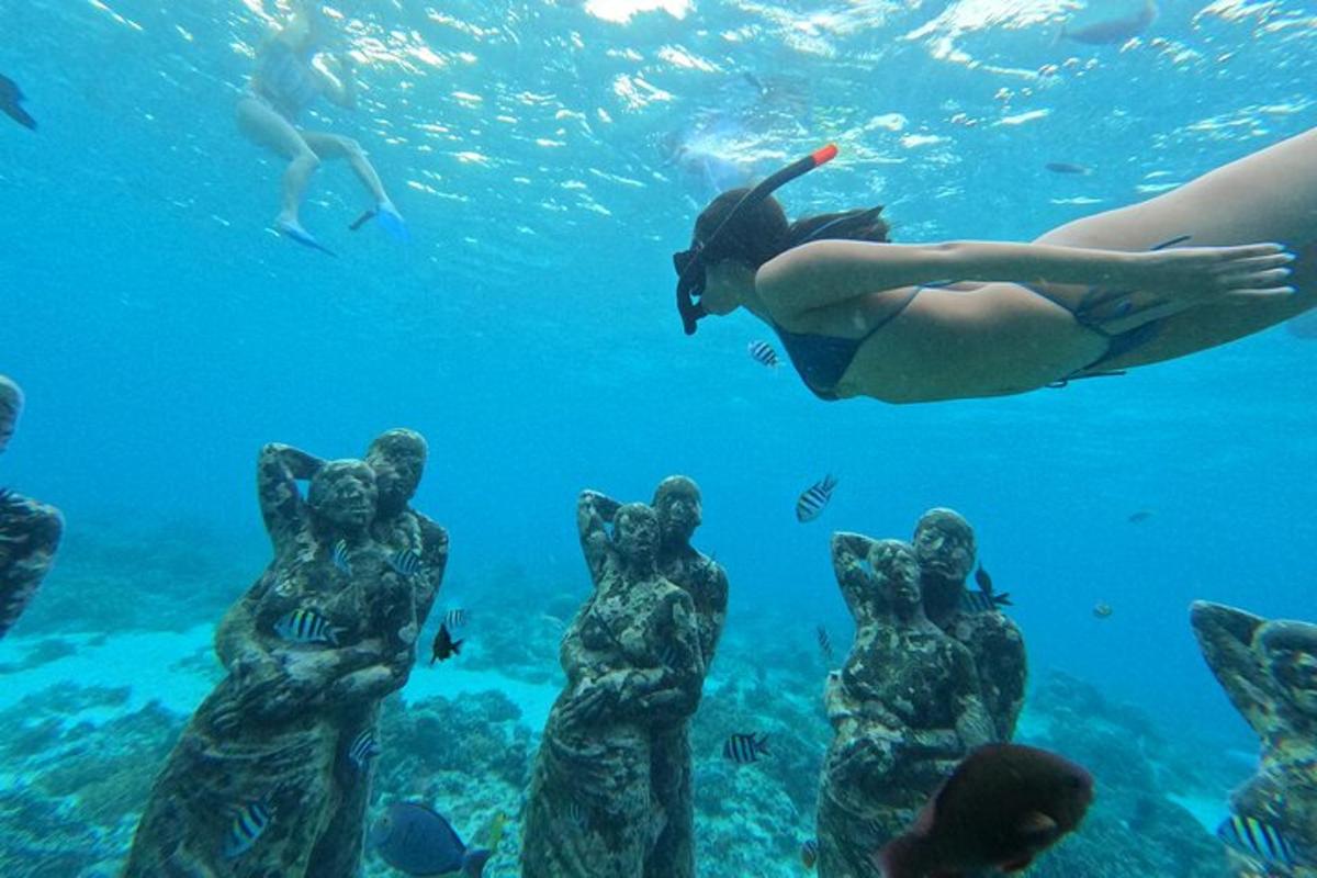 un grupo de personas nadando en el océano