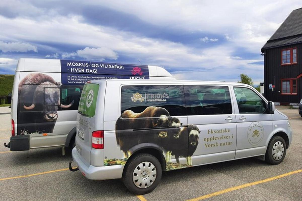 a van with a picture of a bear on the side