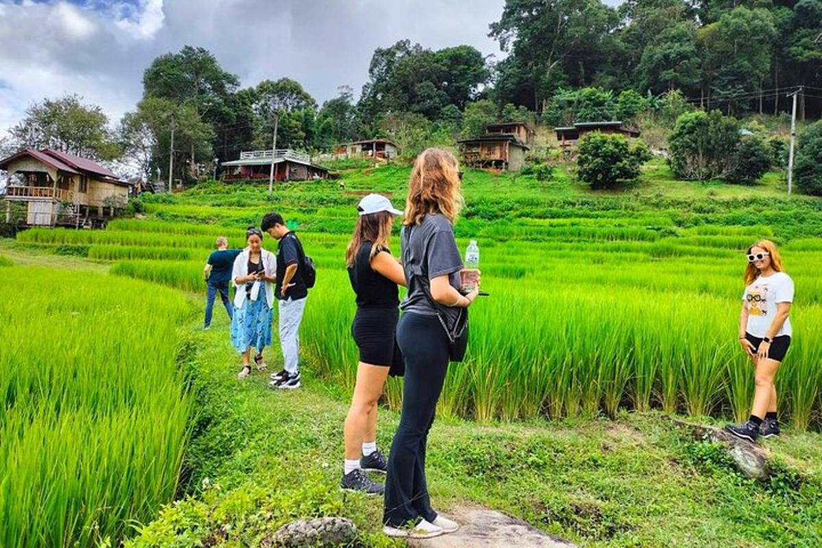 a group of people standing in a field