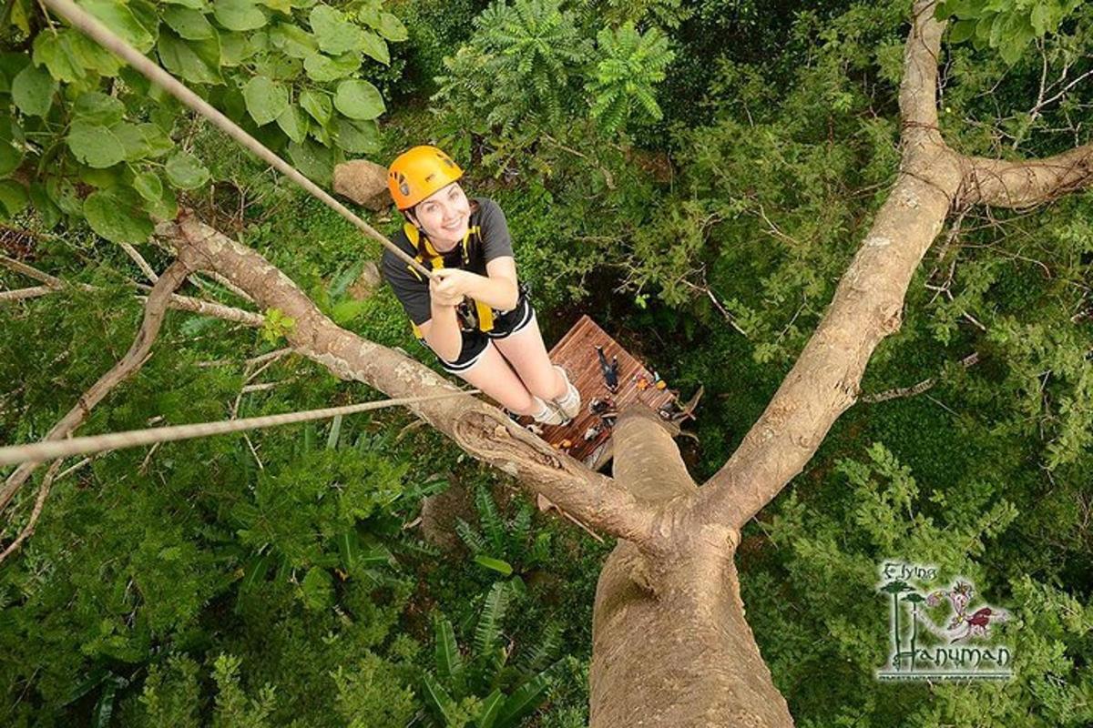 una persona sta scalando un albero con una corda