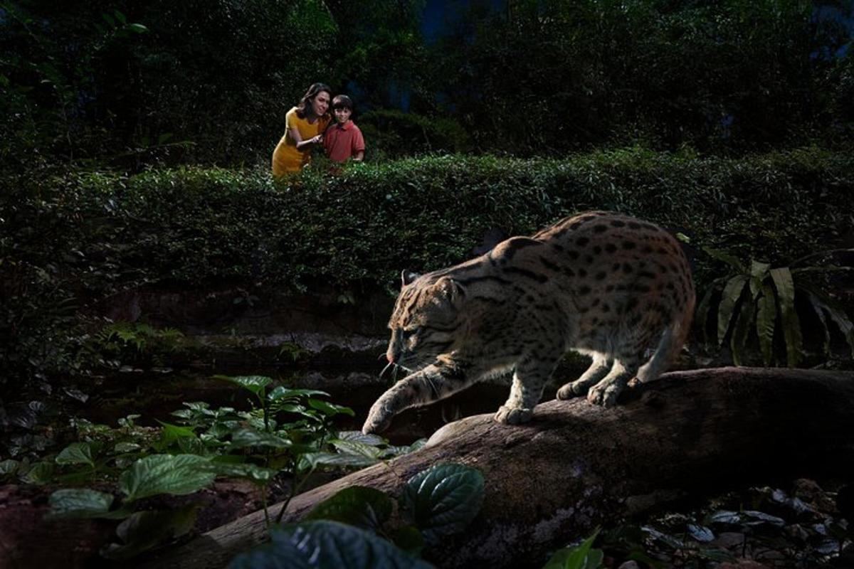 ein Gepard, der mit zwei Menschen auf einem Felsen steht