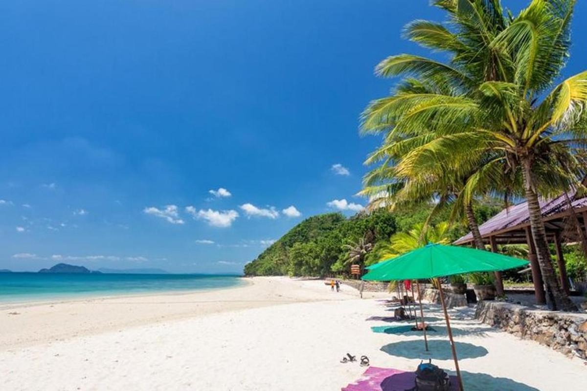 egy strand zöld napernyővel és pálmafákkal