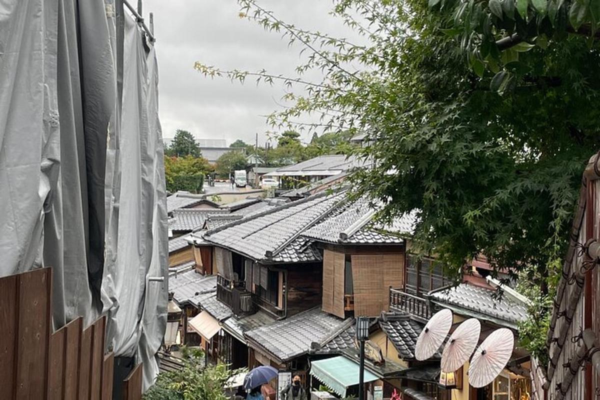 une vue aérienne d'un village avec des toits
