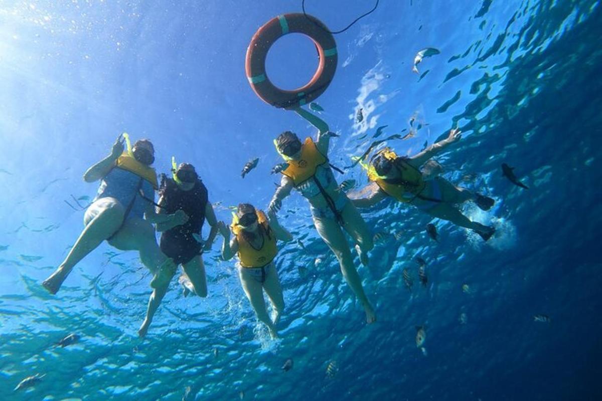 a group of people swimming in the water with a paddle