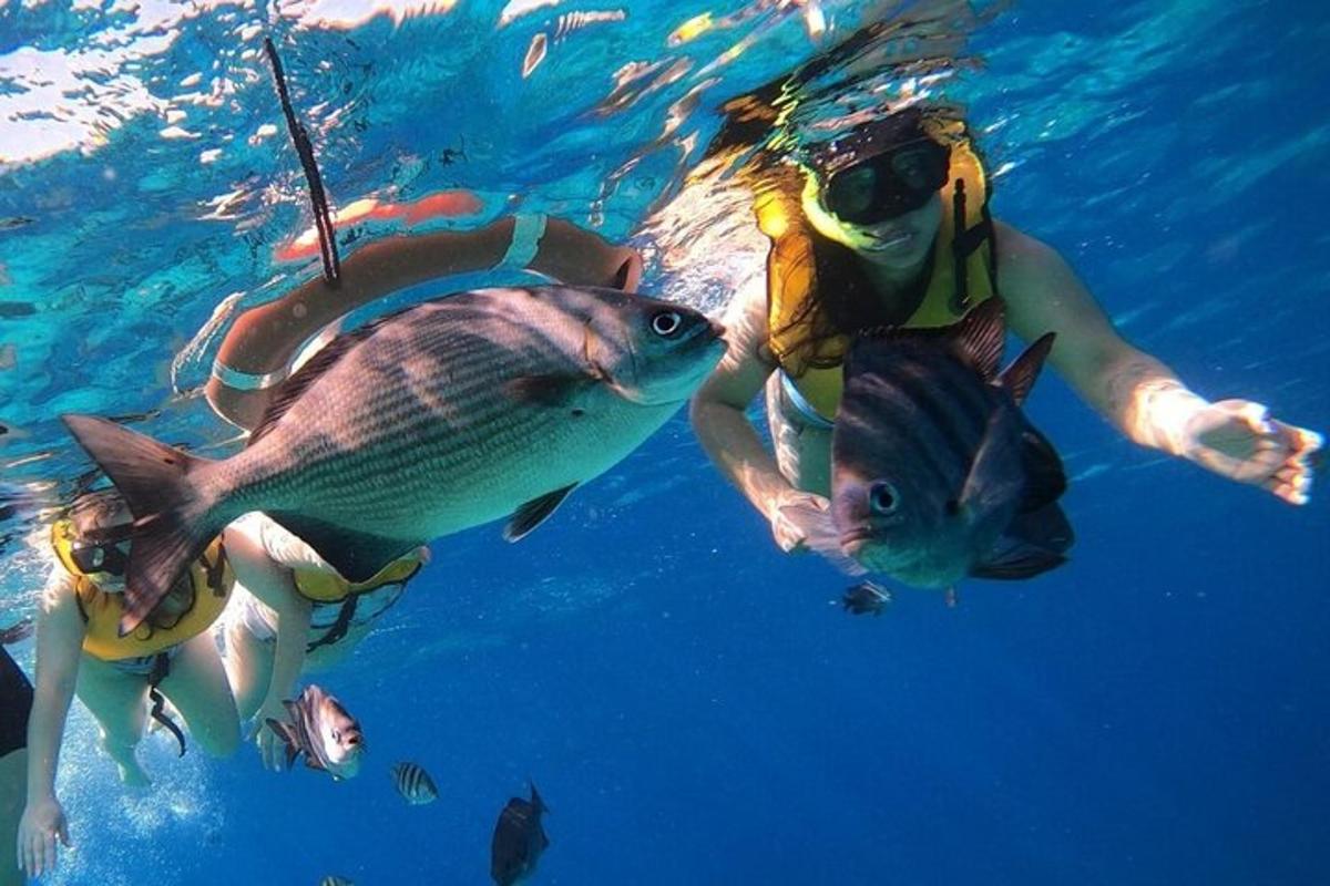 due persone stanno nuotando nell'acqua con i pesci
