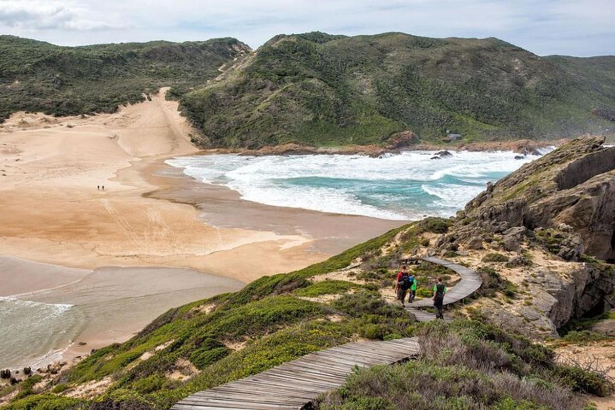 due persone che salgono su una collina vicino a una spiaggia