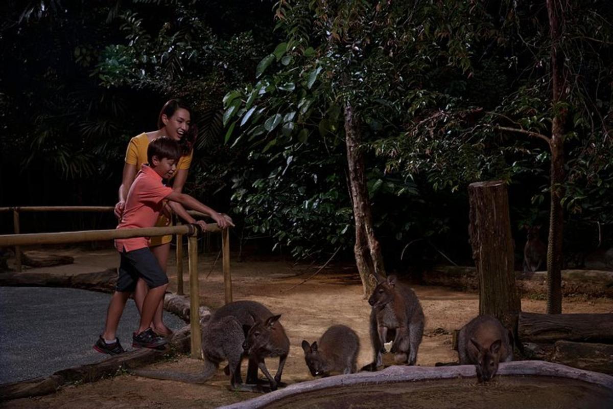 un uomo e un ragazzo che guardano un gruppo di animali