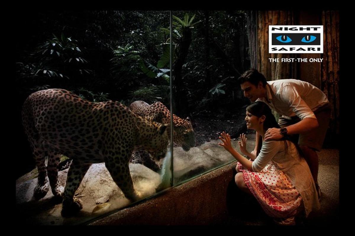 un uomo e una donna guardano un ghepardo in uno zoo