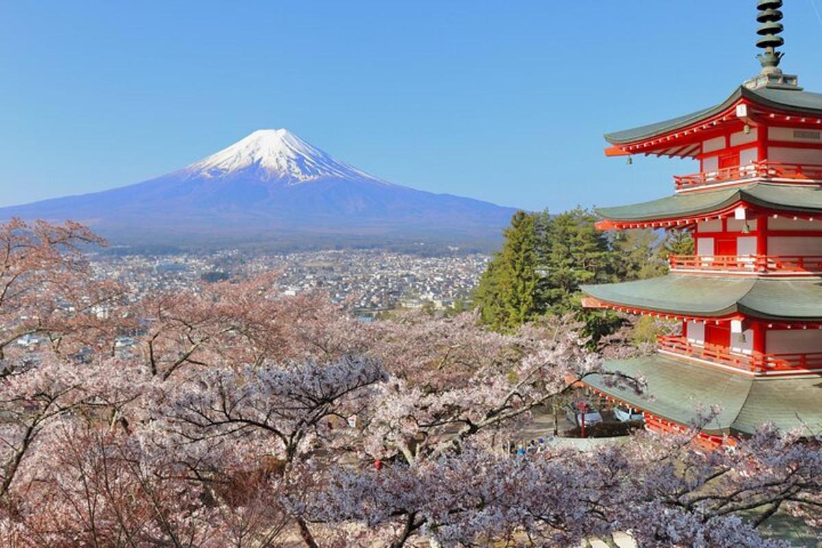 a mountain in the background with two red towers and trees