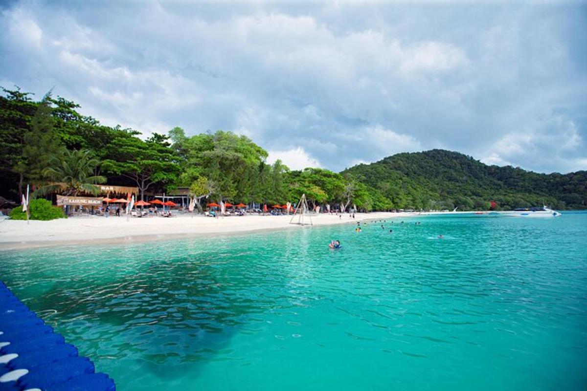 un gruppo di persone che nuotano nell'acqua di una spiaggia