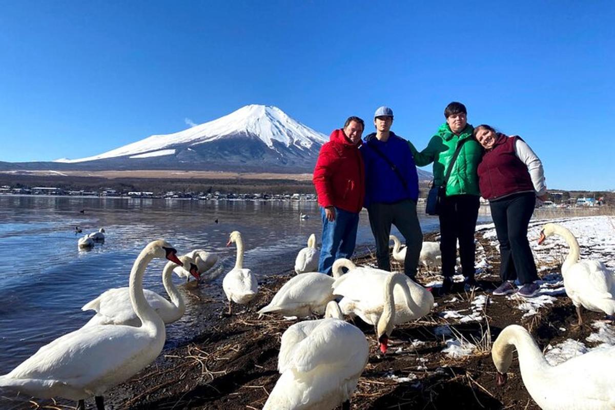 a group of people standing next to a flock of swans