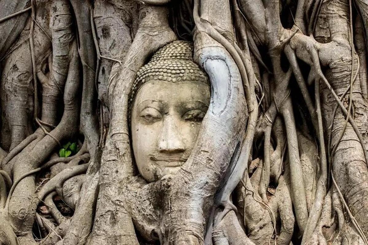una estatua de una cabeza enredada en las raíces de un árbol