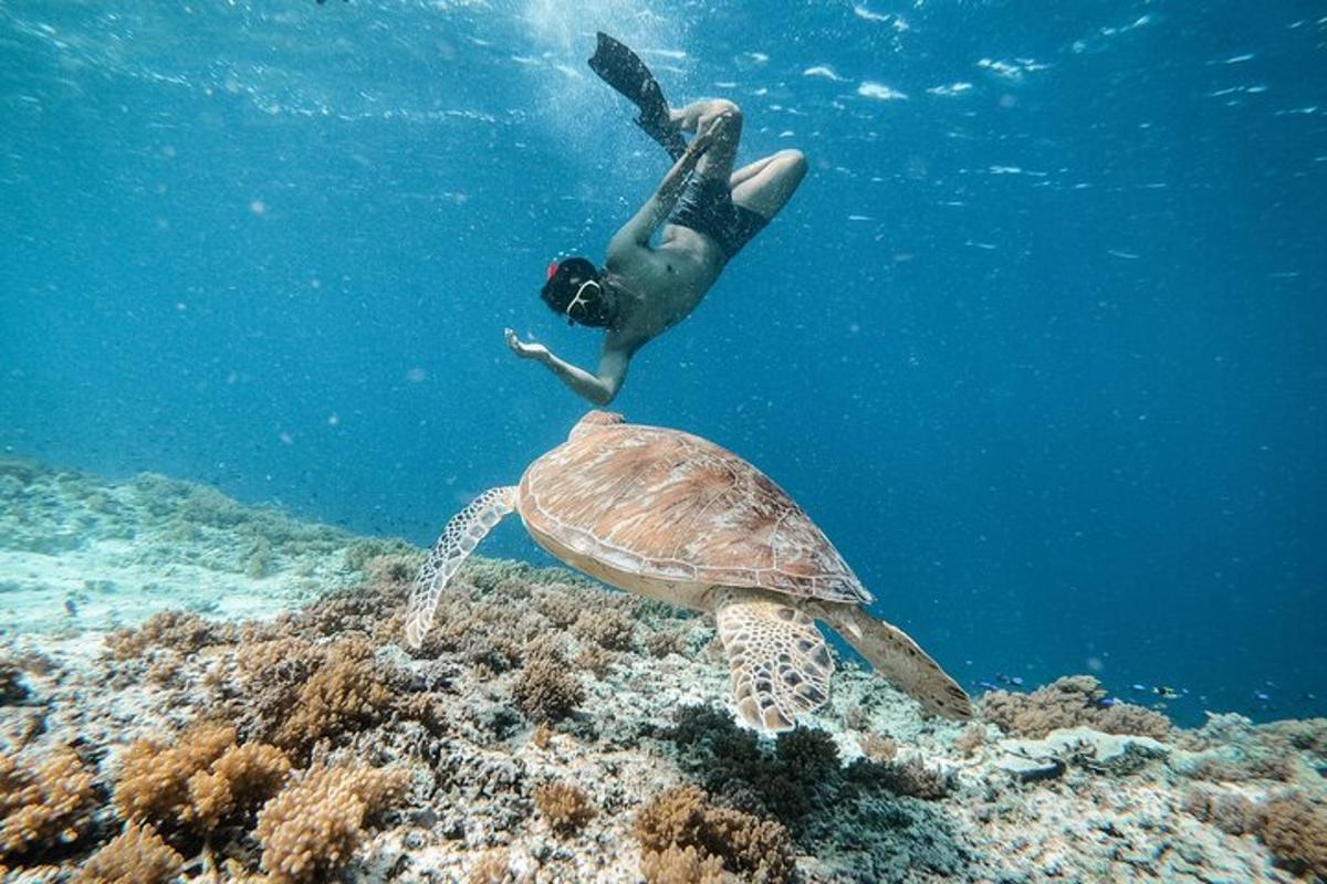 a man is swimming above a turtle in the ocean