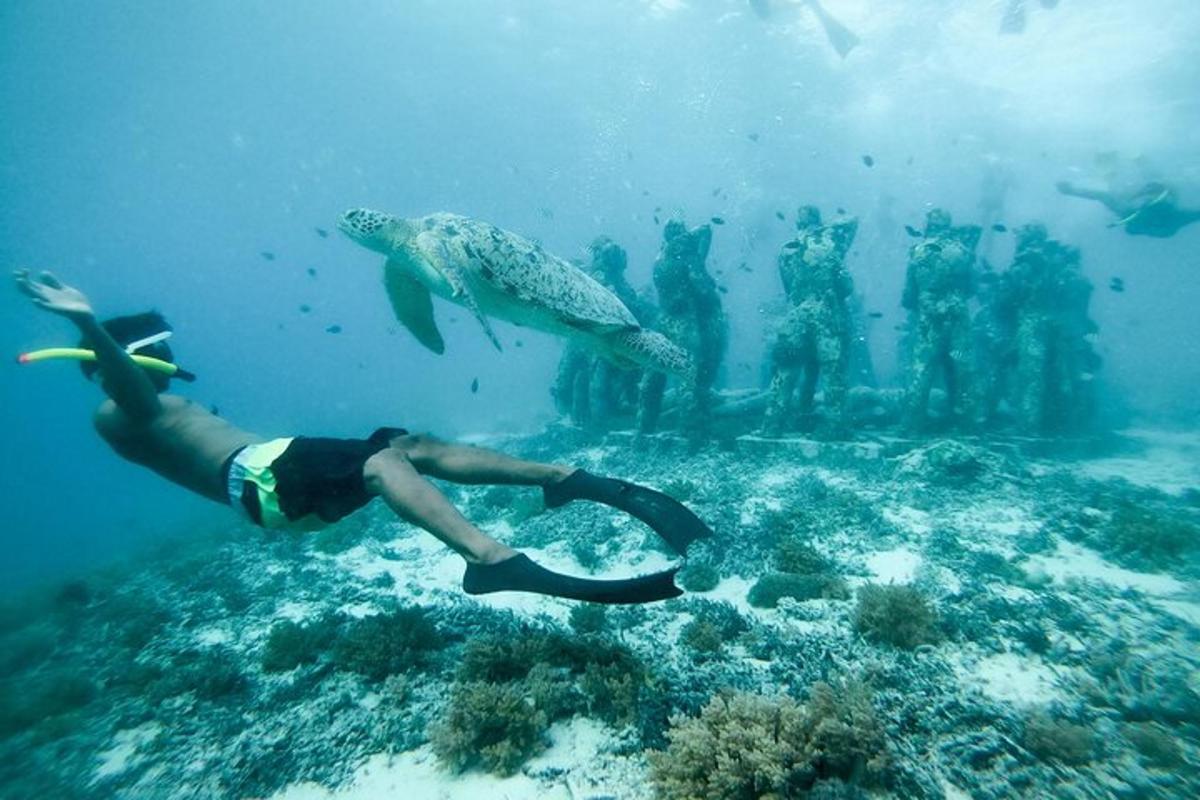 a man is swimming in the ocean with a turtle