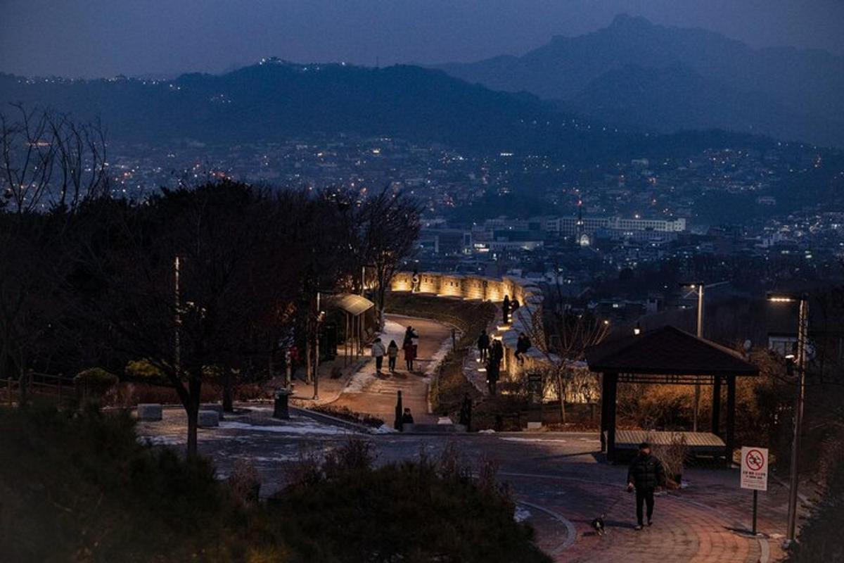 a group of people walking in a park at night